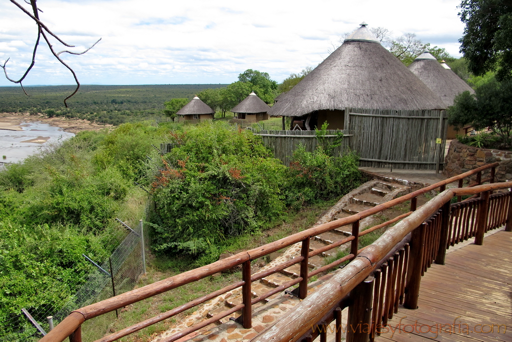 Kruger Olifants