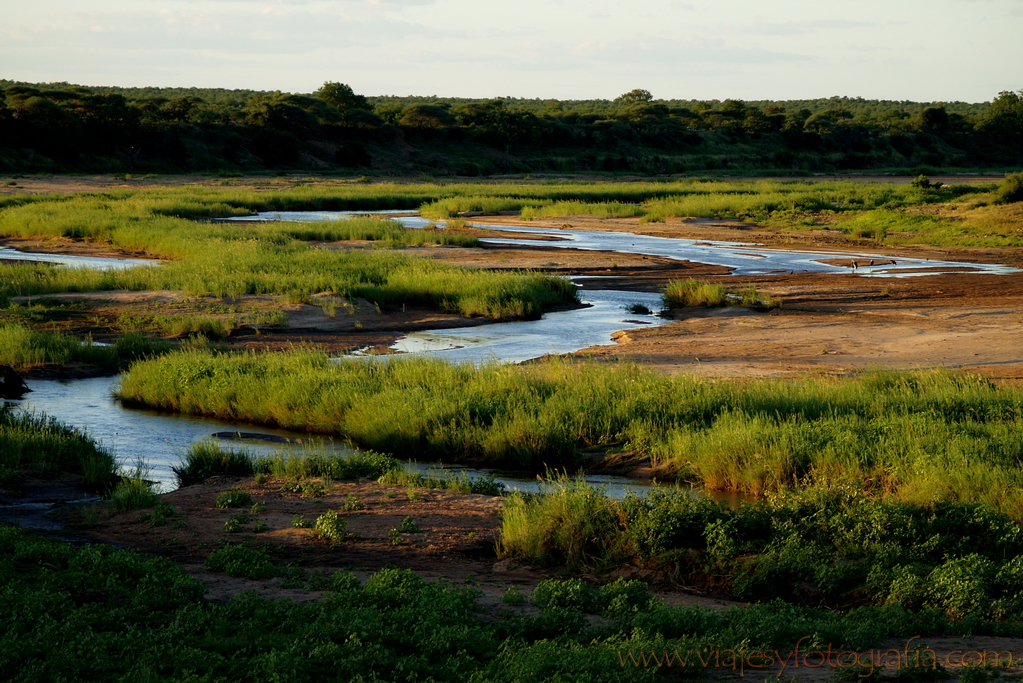 Kruger Sabie river