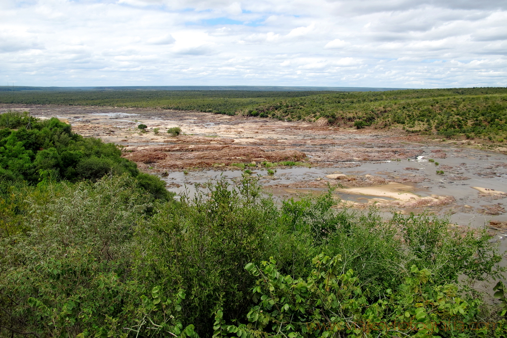 Kruger Olifants river 2