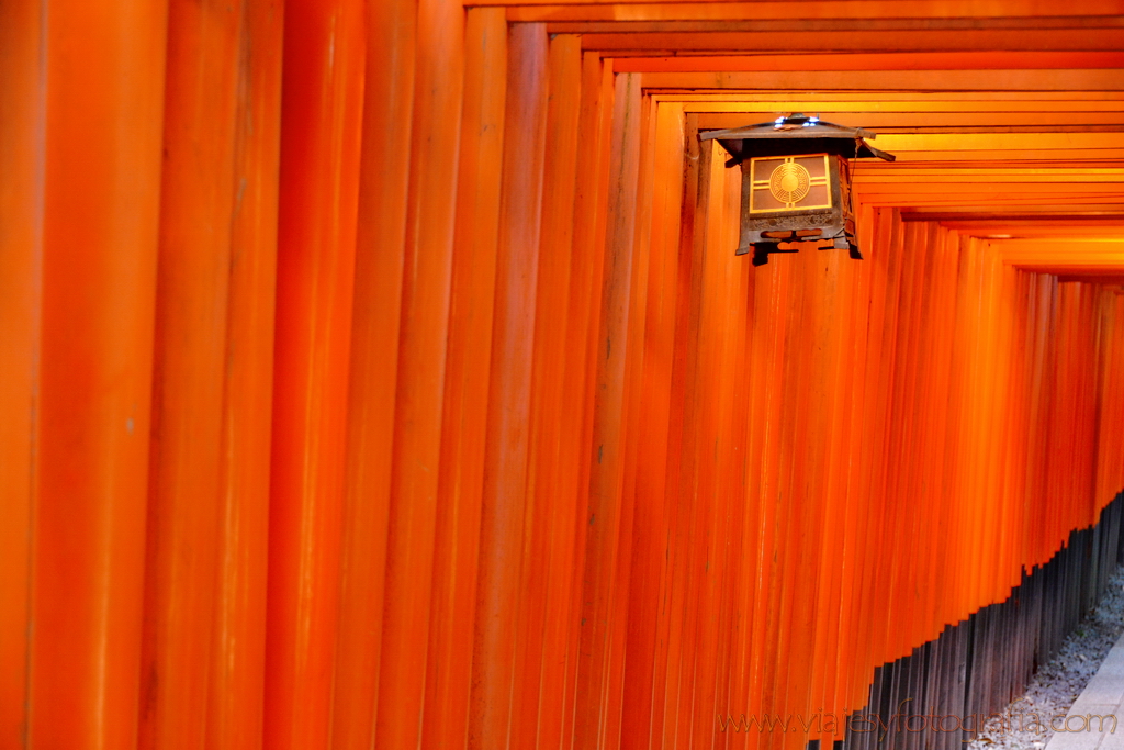 Kyoto Fushimi Inari 1