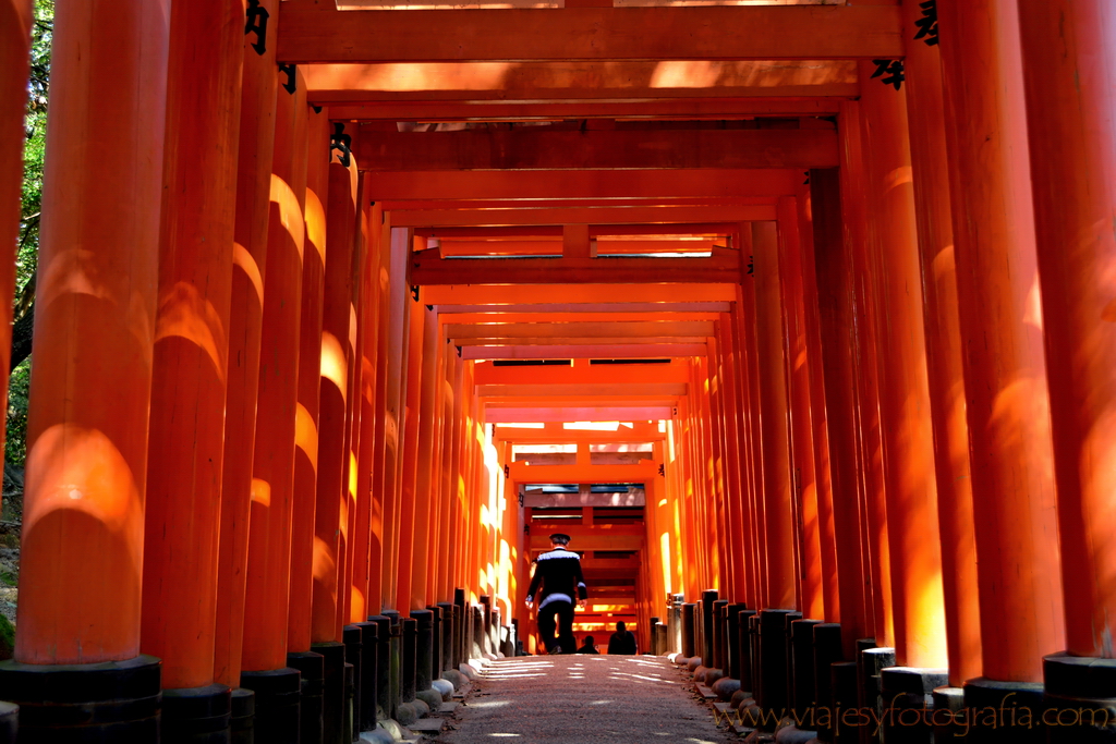 Kyoto Fushimi Inari 3