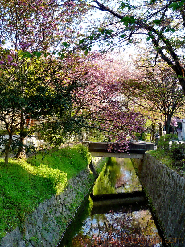 Kyoto Camino de la Filosofía