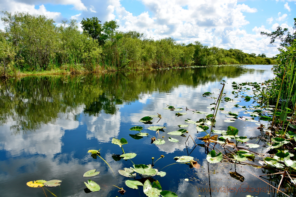 everglades-3