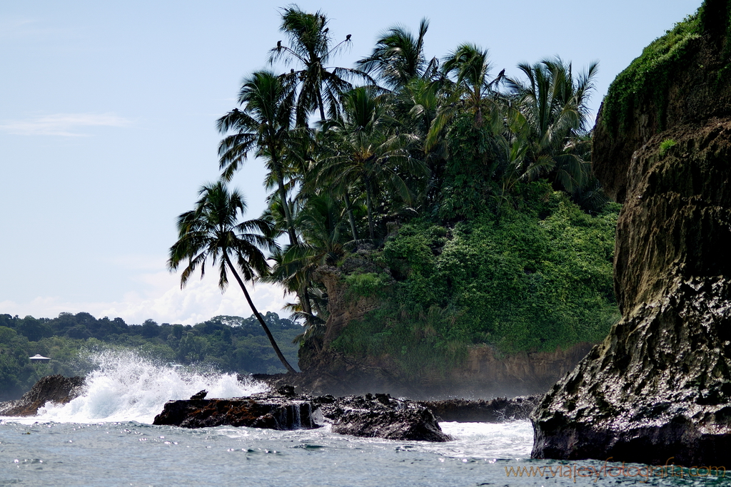 Bocas del Toro Isla de los Pájaros 3