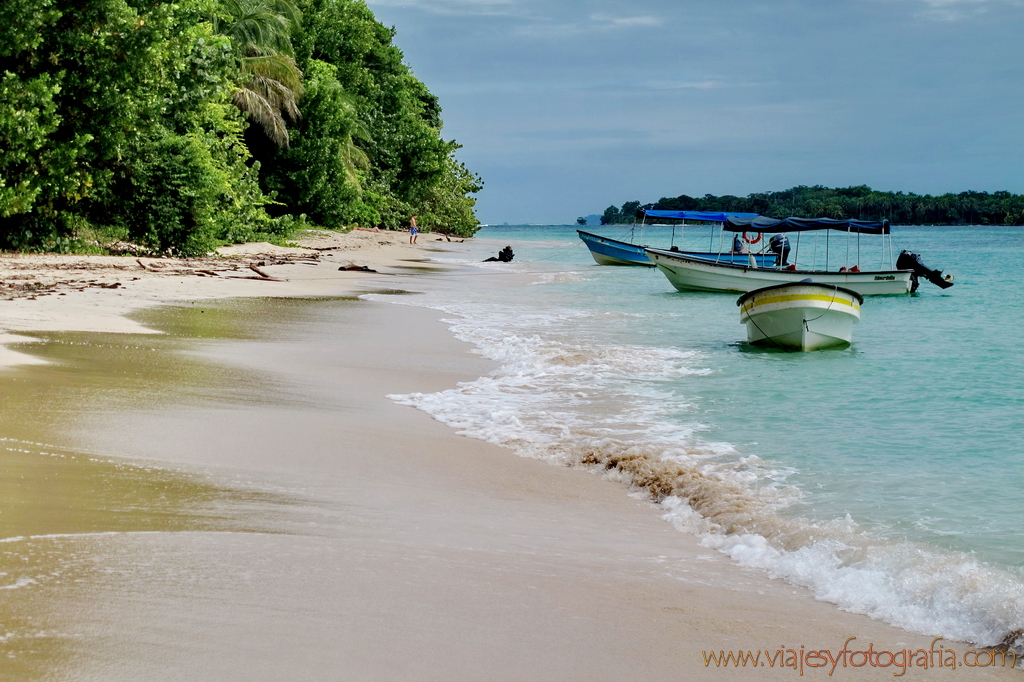 Bocas del Toro Cayos Zapatillas 7