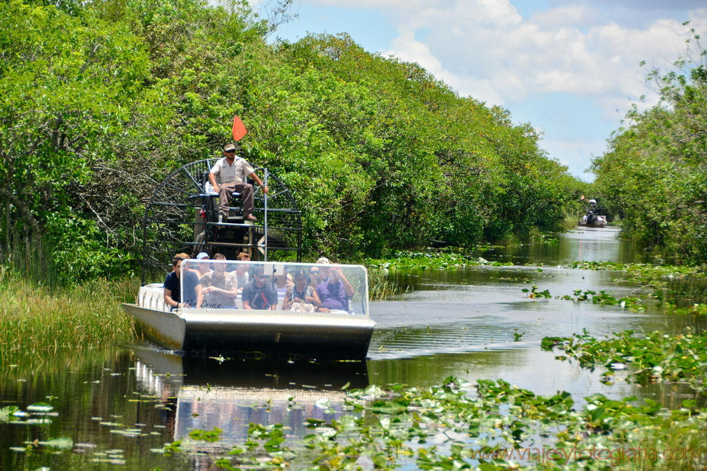 everglades-airboat-4