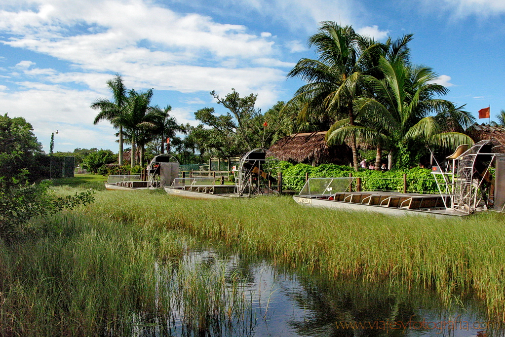 Everglades 1486