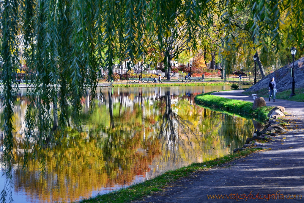 central-park_7610