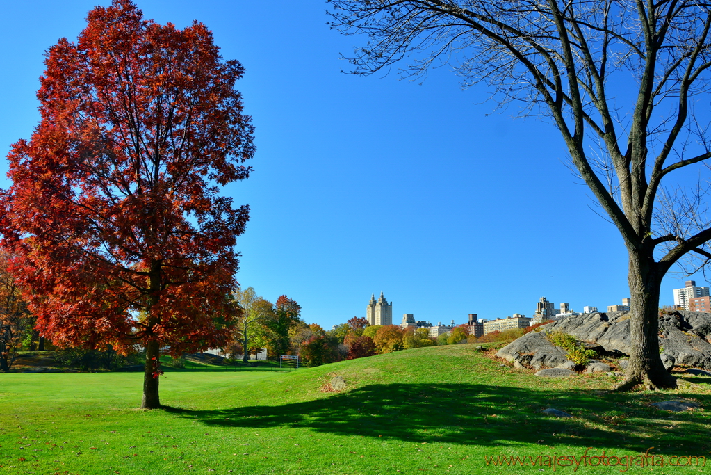 central-park_7624