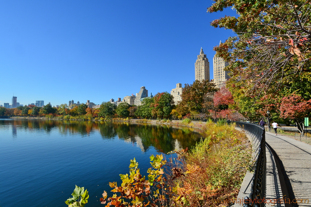 central-park_7657