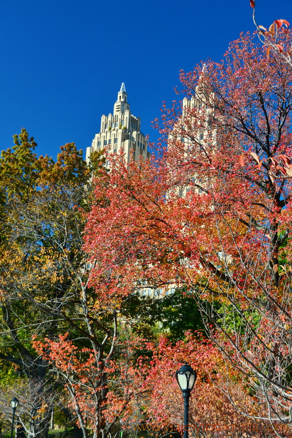 central-park_7659