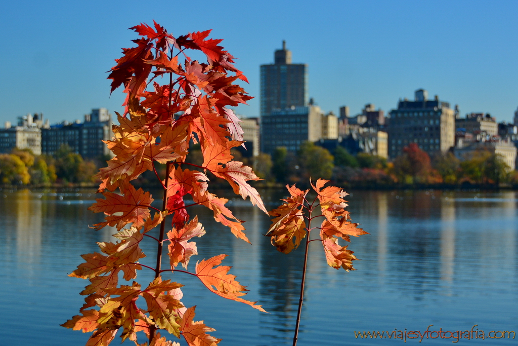 central-park_7673