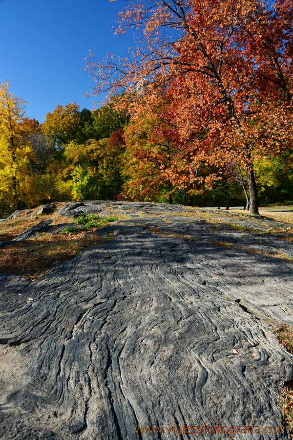 central-park_7703