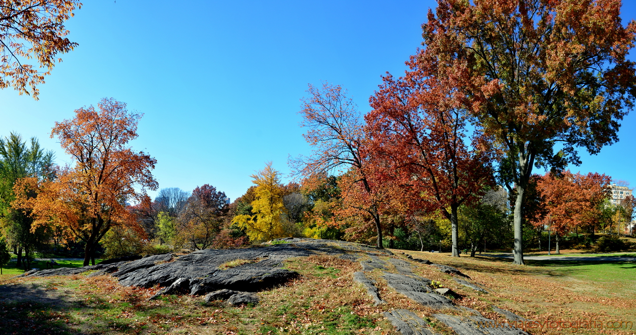 central-park_7710_1300x683