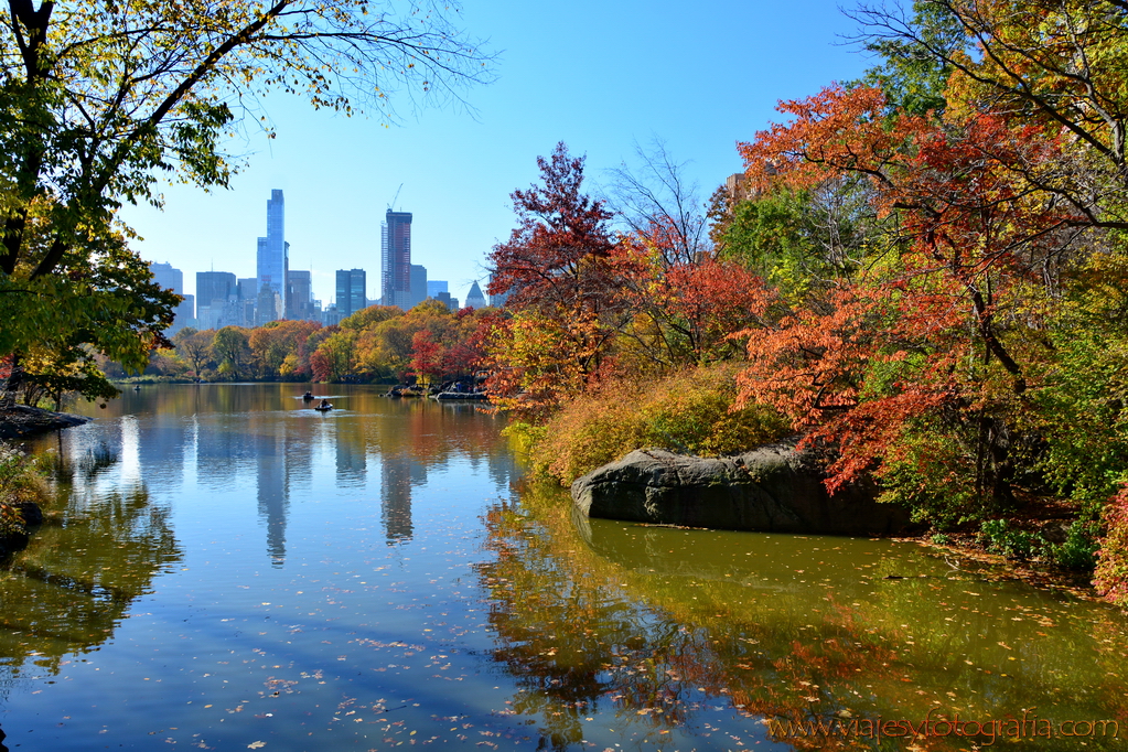 central-park_7730