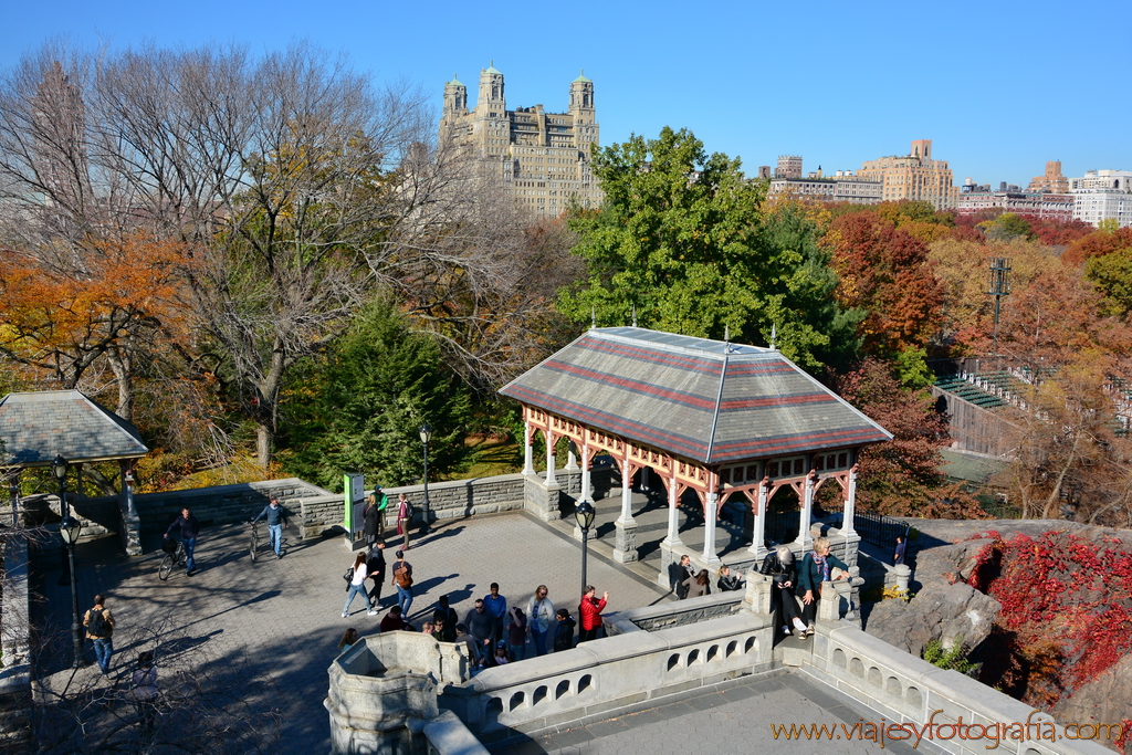 central-park_7806