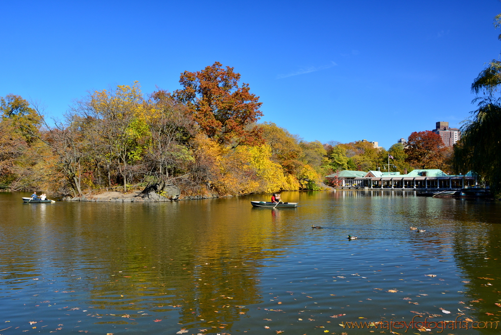 central-park_7835