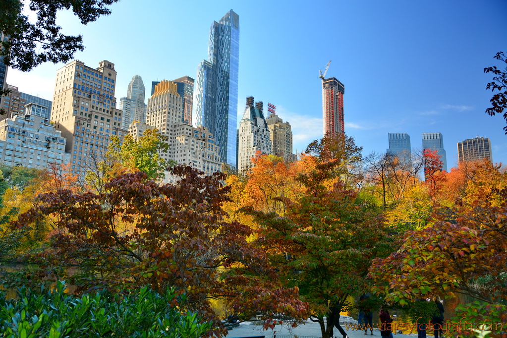 central-park_7943