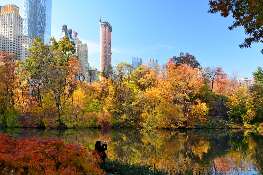 central-park_7953