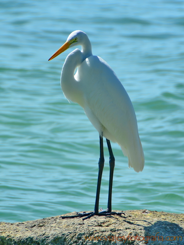 Cayos de Florida Keys 7