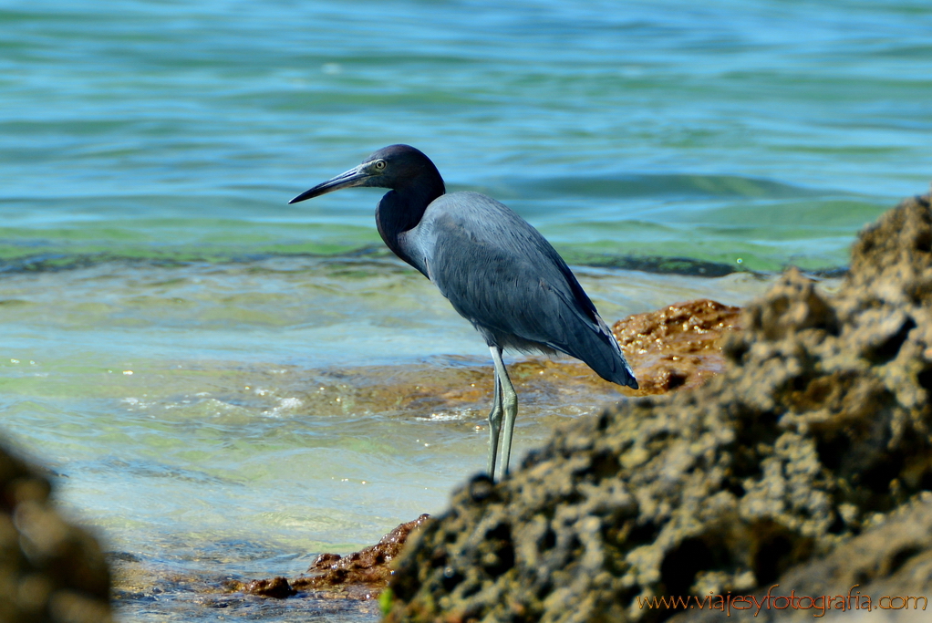 Cayos de Florida Keys 6