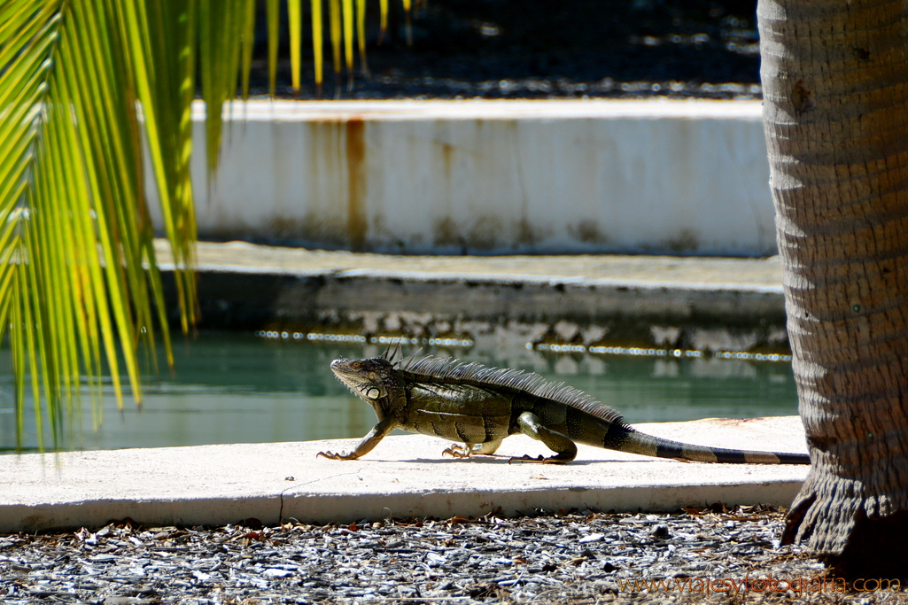 Cayos de Florida 4