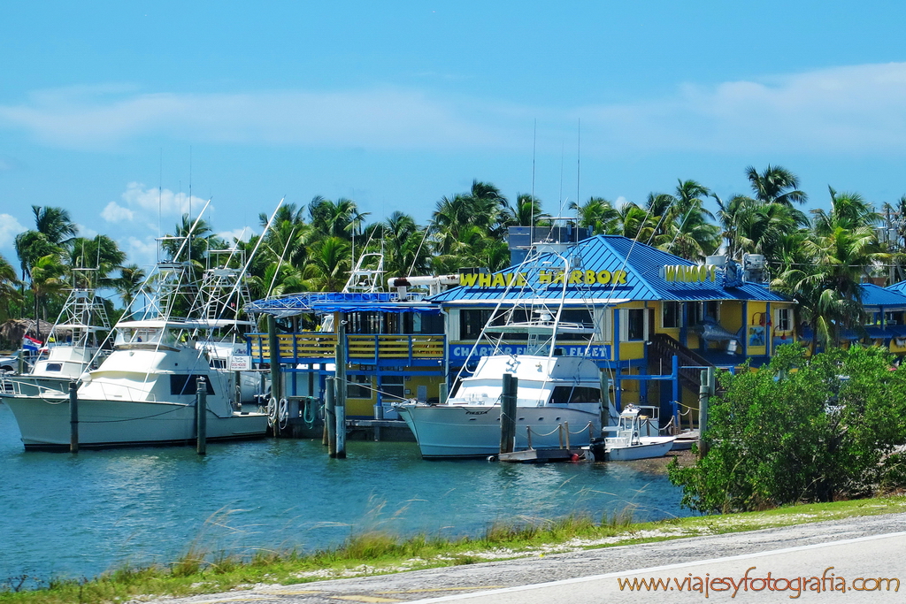 Cayos de Florida Keys 7