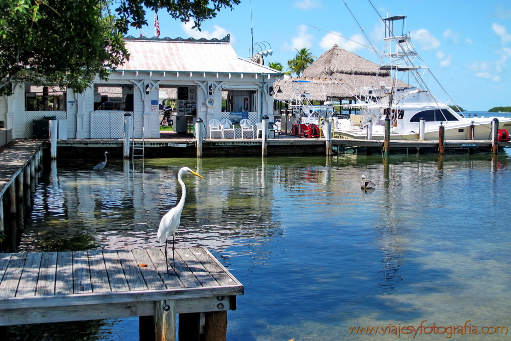 Cayos de Florida 9