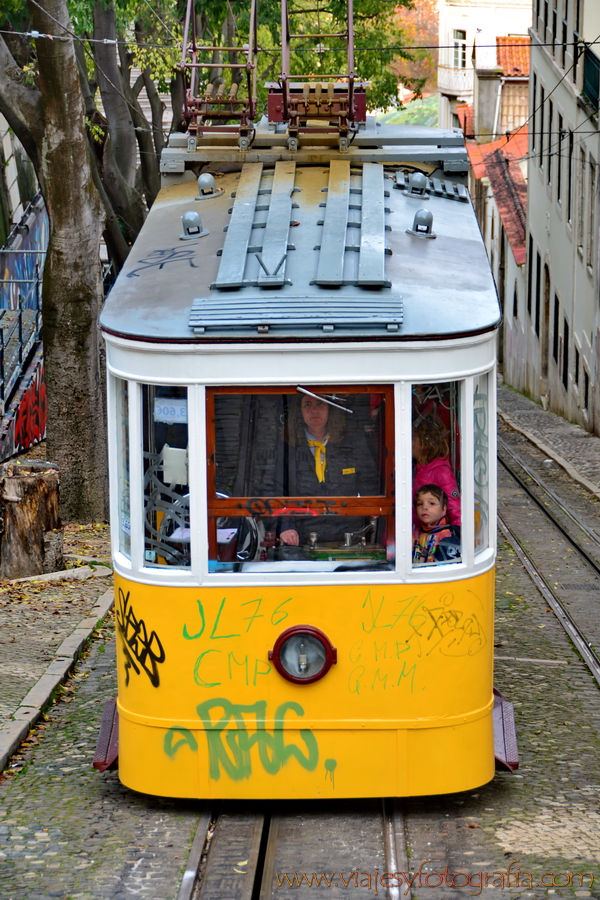 lisboa_8915