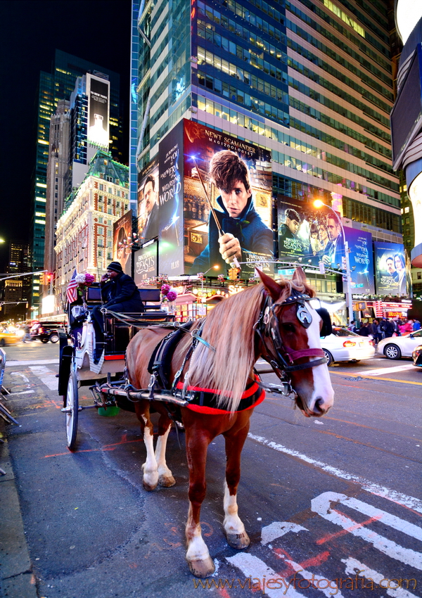 Nueva York Times Square 19