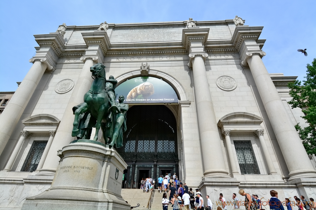 Nueva York Natural History Museum 1