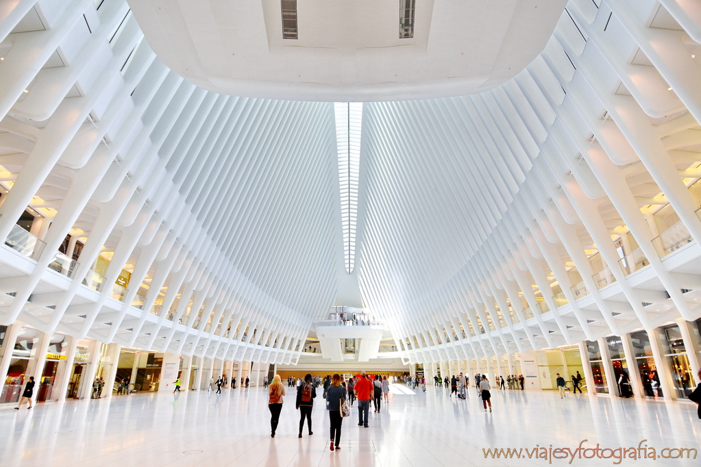 Oculus de Calatrava