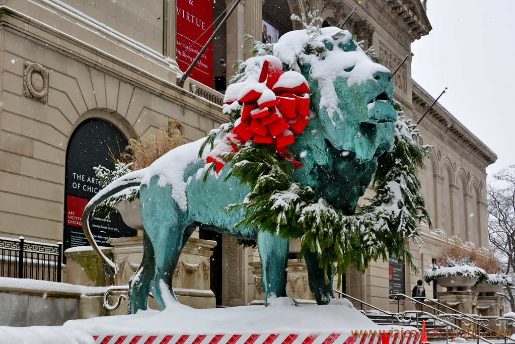 Chicago Art Institute 1