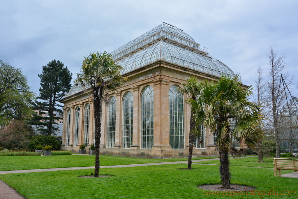 Edimburgo Royal Botanic Garden 7