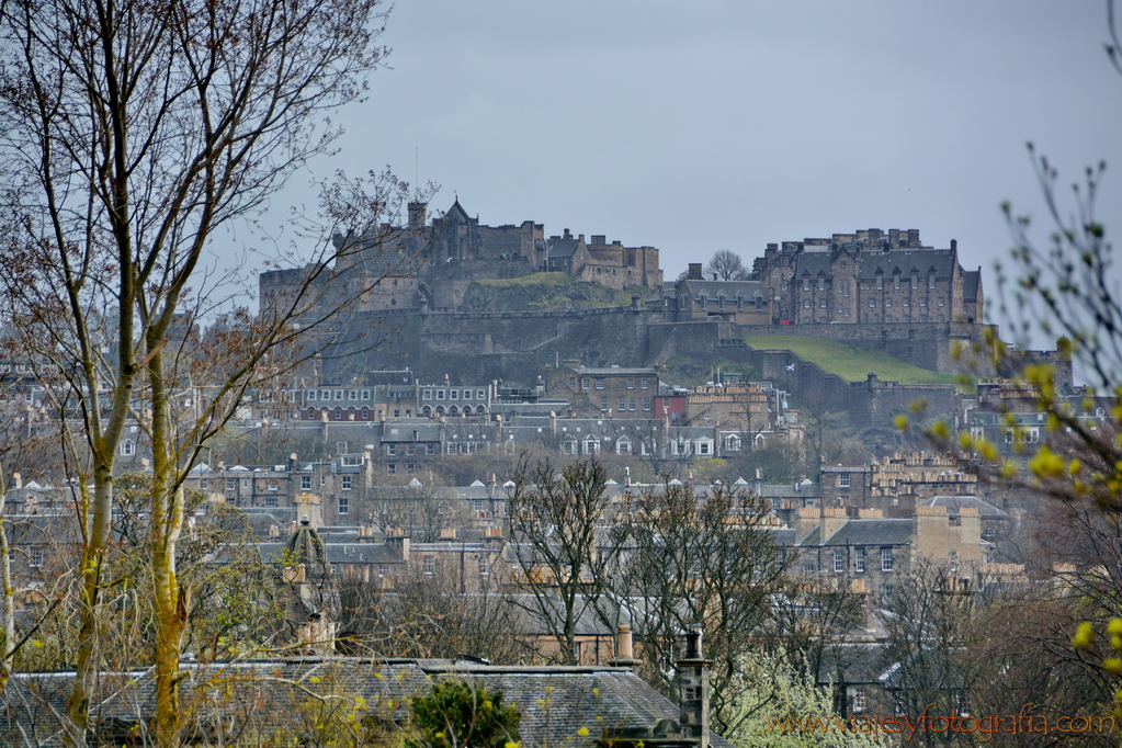 Edimburgo Royal Botanic Garden 4