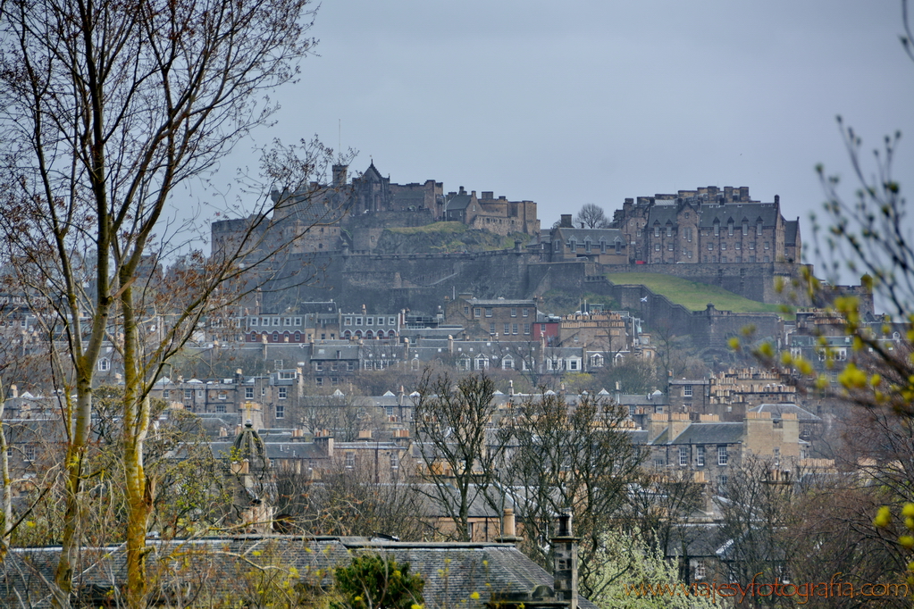 Edimburgo Royal Botanic Garden 4