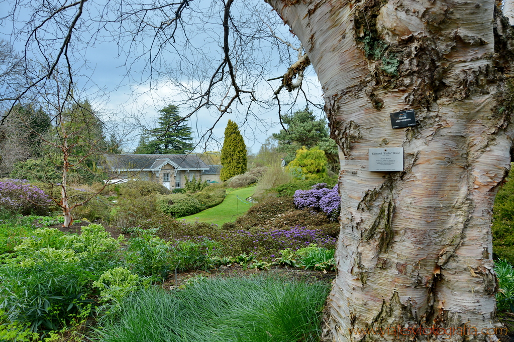 Edimburgo Royal Botanic Garden 3