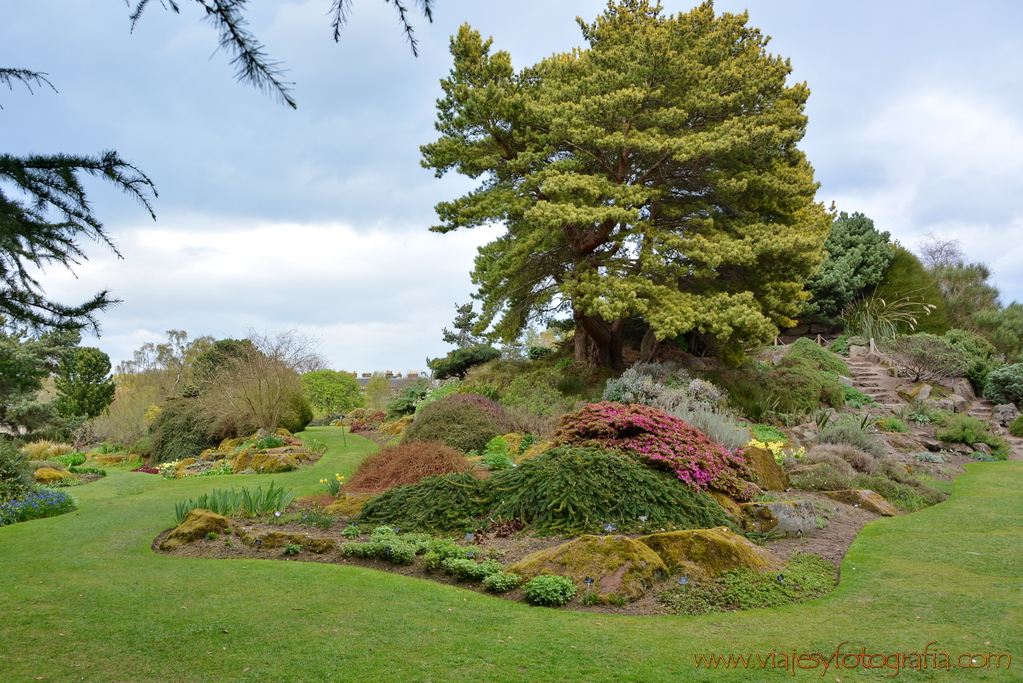 Edimburgo Royal Botanic Garden 2