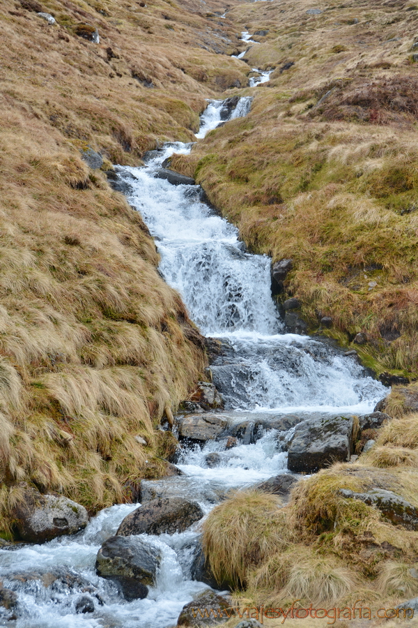 Ben Nevis 5