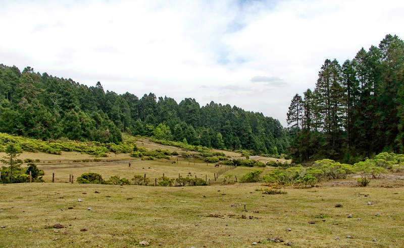 Sierra Chincua, Michoacán Sierra Chincua, Michoacán