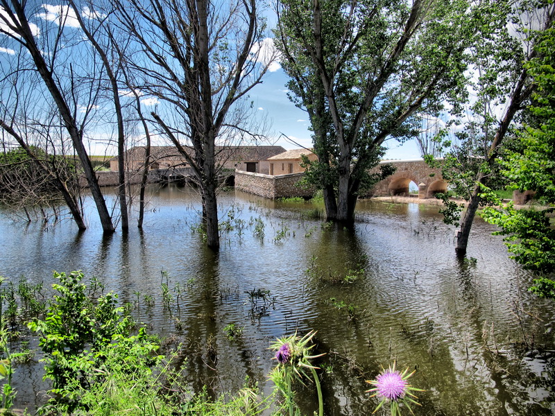 El Guadiana y el Molino de Molemocho El Guadiana y el Molino de Molemocho