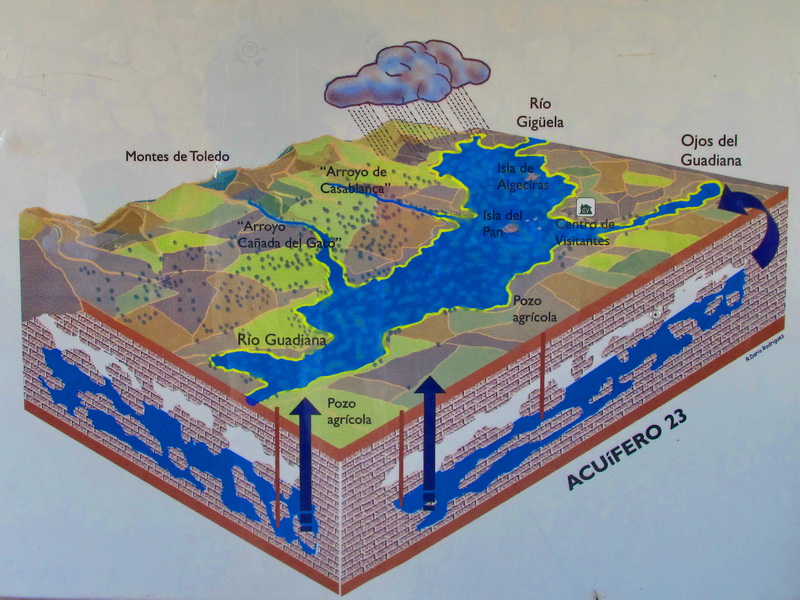 Tablas de Daimiel. Corte estratigráfico. Tablas de Daimiel. Corte estratigráfico.