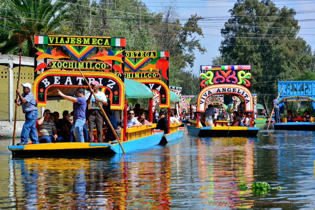 Xochimilco viajesyfotografia 11 Xochimilco viajesyfotografia 11