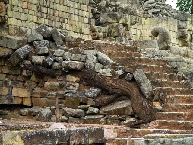 Ruinas en Copán 6 Ruinas en Copán 6