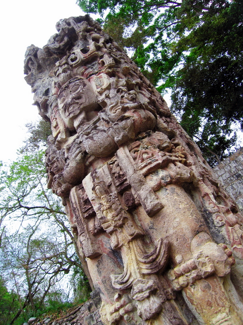 Estela de Copán 17 Estela de Copán 17