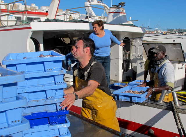 Descargando la pesca del día Descargando la pesca del día
