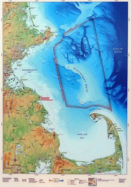 Stellwagen Bank National Marine Sanctuary Stellwagen Bank National Marine Sanctuary