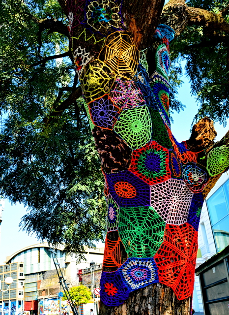 Árbol decorado en La Boca Árbol decorado en La Boca