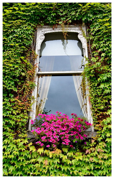 Ventanas de Dublín Ventanas de Dublín