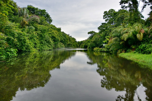 Canales de Tortuguero Canales de Tortuguero
